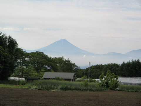  Irikawa_036 